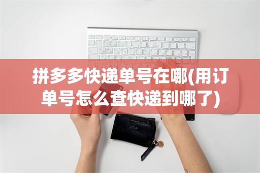 拼多多快递单号在哪(用订单号怎么查快递到哪了)