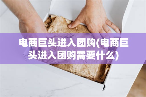 电商巨头进入团购(电商巨头进入团购需要什么)
