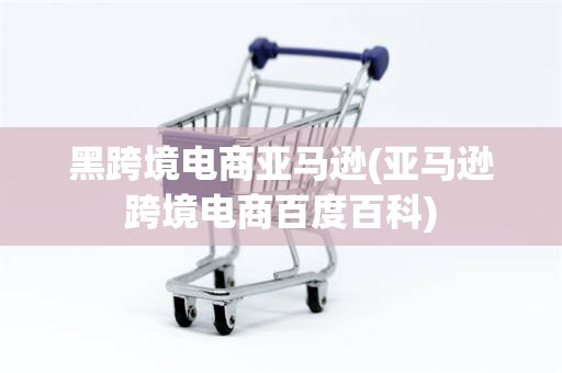 黑跨境电商亚马逊(亚马逊跨境电商百度百科)