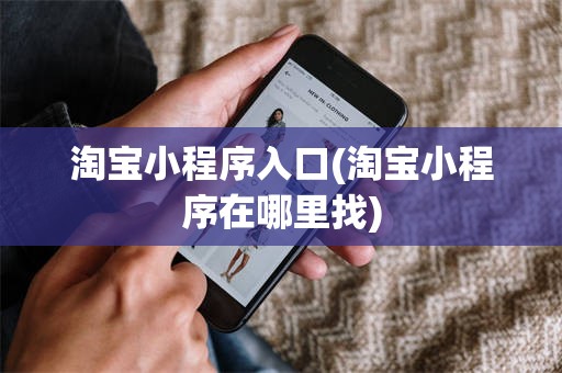淘宝小程序入口(淘宝小程序在哪里找)