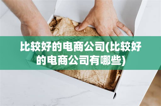 比较好的电商公司(比较好的电商公司有哪些)