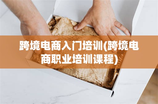 跨境电商入门培训(跨境电商职业培训课程)