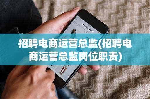 招聘电商运营总监(招聘电商运营总监岗位职责)