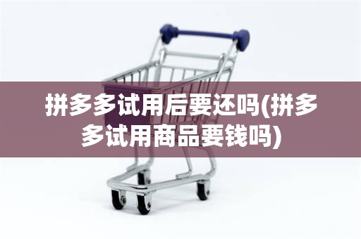 拼多多试用后要还吗(拼多多试用商品要钱吗)