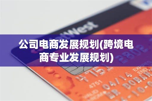 公司电商发展规划(跨境电商专业发展规划)