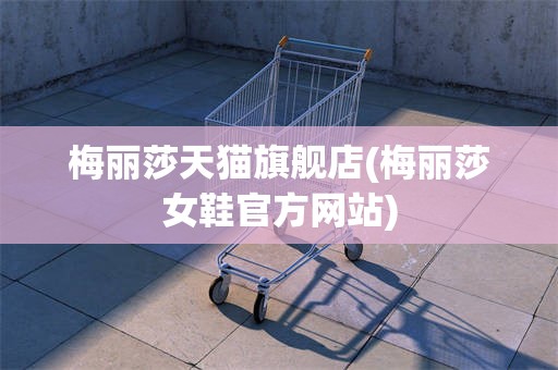 梅丽莎天猫旗舰店(梅丽莎女鞋官方网站)