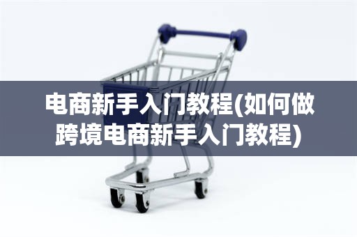 电商新手入门教程(如何做跨境电商新手入门教程)