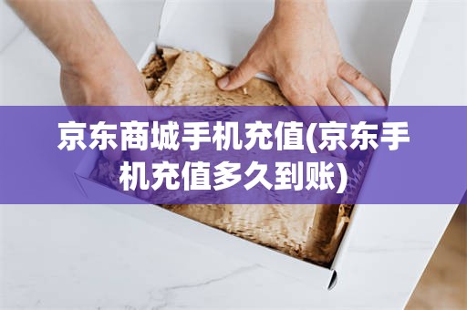 京东商城手机充值(京东手机充值多久到账)