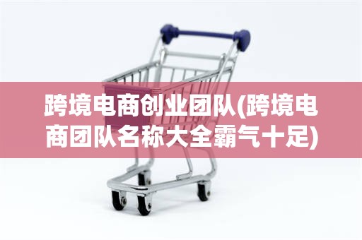 跨境电商创业团队(跨境电商团队名称大全霸气十足)