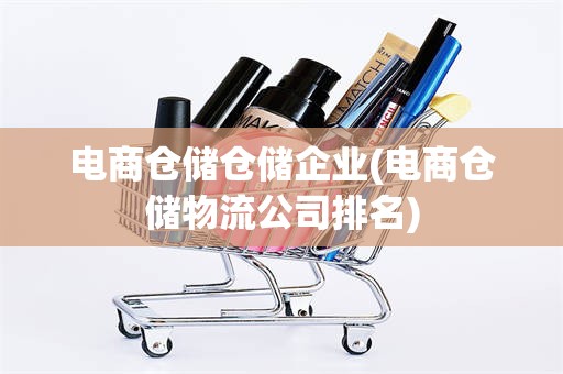 电商仓储仓储企业(电商仓储物流公司排名)