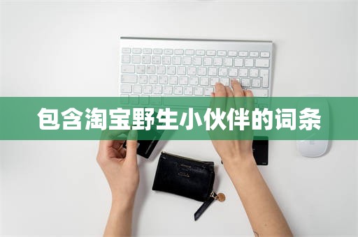 包含淘宝野生小伙伴的词条