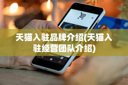 天猫入驻品牌介绍(天猫入驻经营团队介绍)