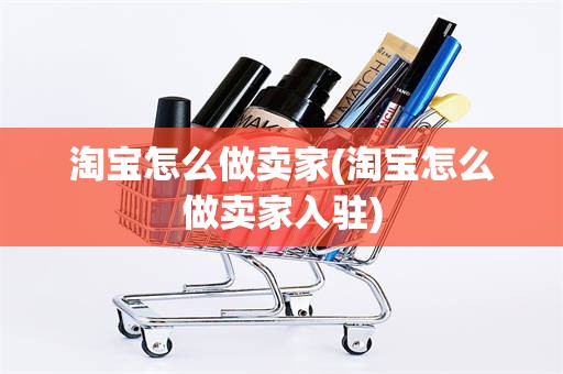 淘宝怎么做卖家(淘宝怎么做卖家入驻)