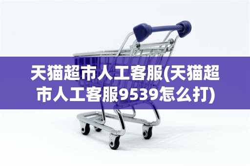 天猫超市人工客服(天猫超市人工客服9539怎么打)