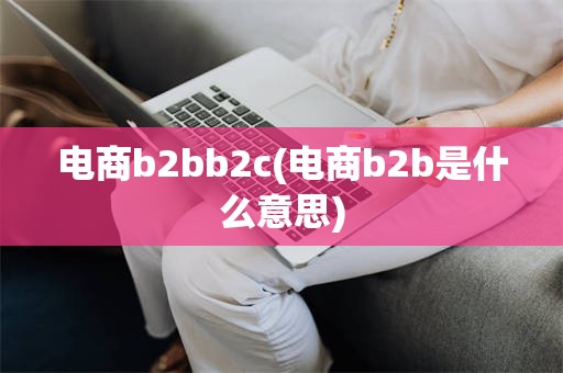 电商b2bb2c(电商b2b是什么意思)