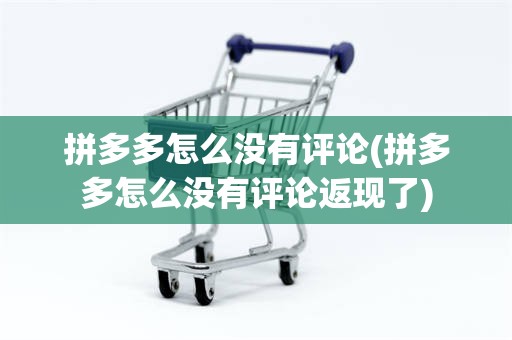 拼多多怎么没有评论(拼多多怎么没有评论返现了)