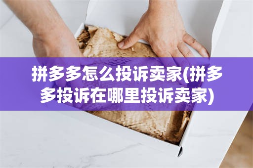 拼多多怎么投诉卖家(拼多多投诉在哪里投诉卖家)