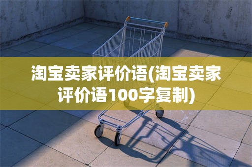 淘宝卖家评价语(淘宝卖家评价语100字复制)