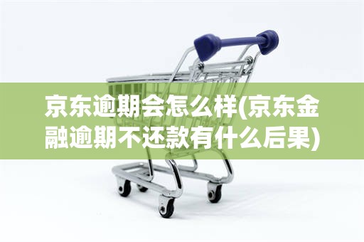 京东逾期会怎么样(京东金融逾期不还款有什么后果)