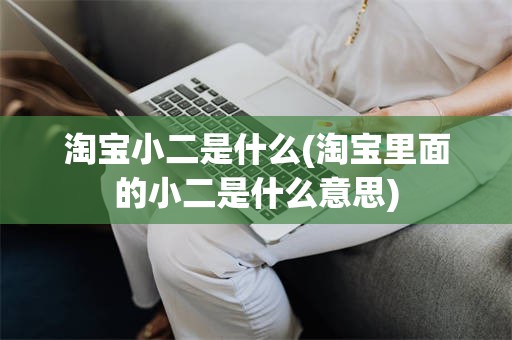 淘宝小二是什么(淘宝里面的小二是什么意思)