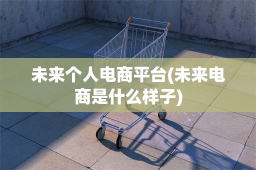未来个人电商平台(未来电商是什么样子)