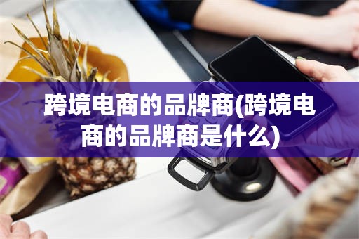 跨境电商的品牌商(跨境电商的品牌商是什么)
