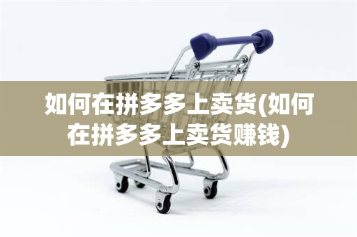 如何在拼多多上卖货(如何在拼多多上卖货赚钱)