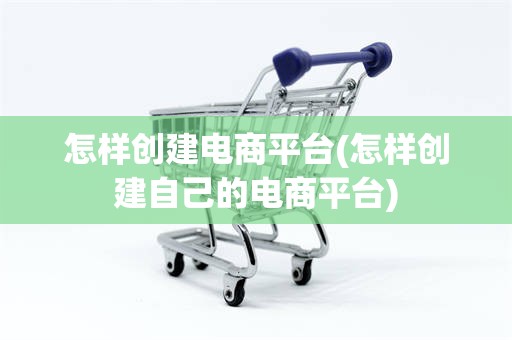 怎样创建电商平台(怎样创建自己的电商平台)