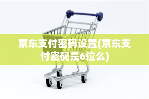 京东支付密码设置(京东支付密码是6位么)