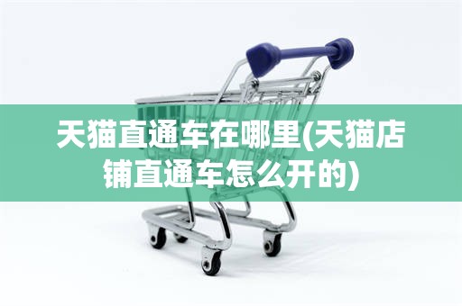 天猫直通车在哪里(天猫店铺直通车怎么开的)