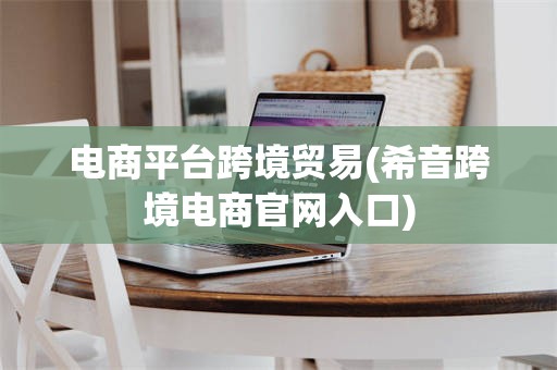电商平台跨境贸易(希音跨境电商官网入口)