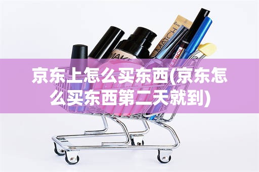 京东上怎么买东西(京东怎么买东西第二天就到)