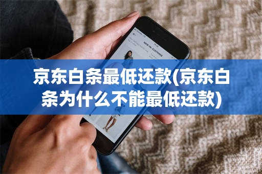 京东白条最低还款(京东白条为什么不能最低还款)
