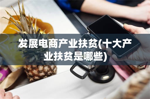 发展电商产业扶贫(十大产业扶贫是哪些)