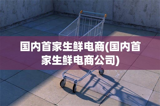 国内首家生鲜电商(国内首家生鲜电商公司)