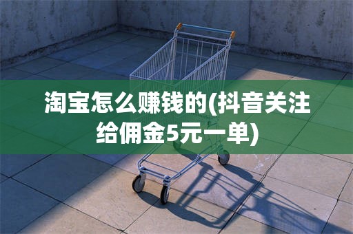 淘宝怎么赚钱的(抖音关注给佣金5元一单)