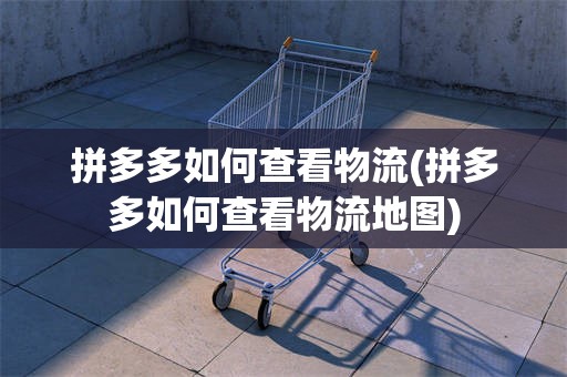 拼多多如何查看物流(拼多多如何查看物流地图)