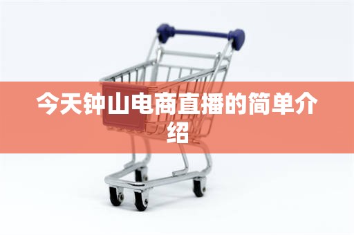 今天钟山电商直播的简单介绍