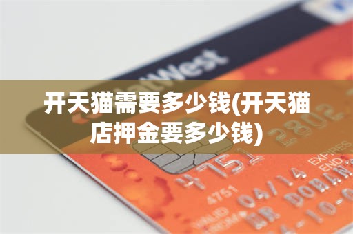 开天猫需要多少钱(开天猫店押金要多少钱)