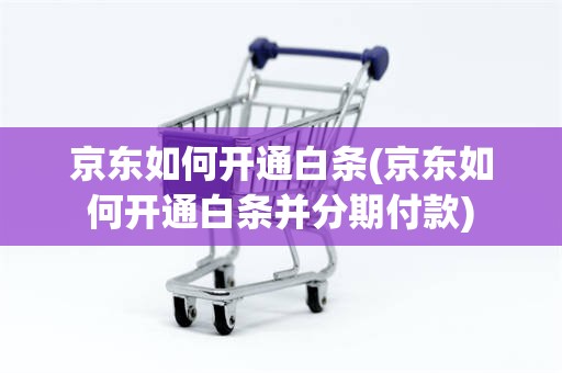 京东如何开通白条(京东如何开通白条并分期付款)