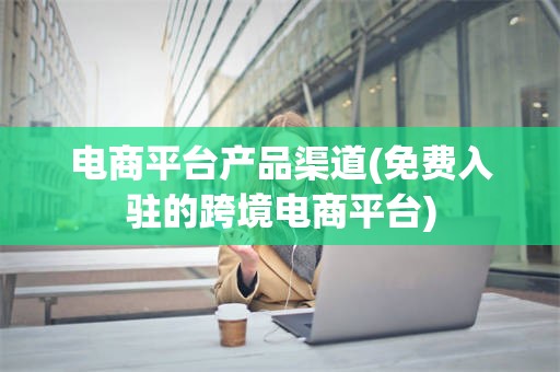 电商平台产品渠道(免费入驻的跨境电商平台)