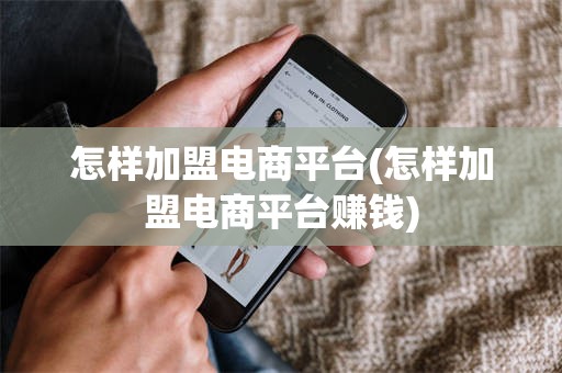 怎样加盟电商平台(怎样加盟电商平台赚钱)