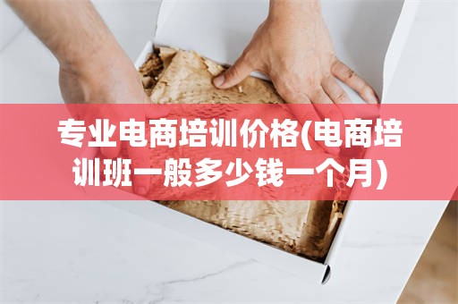 专业电商培训价格(电商培训班一般多少钱一个月)