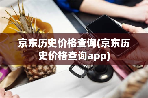 京东历史价格查询(京东历史价格查询app)