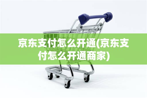 京东支付怎么开通(京东支付怎么开通商家)