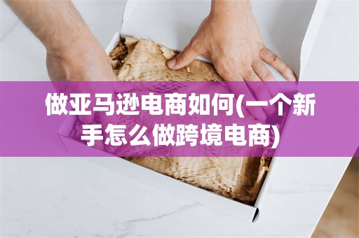 做亚马逊电商如何(一个新手怎么做跨境电商)