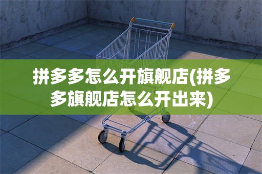 拼多多怎么开旗舰店(拼多多旗舰店怎么开出来)