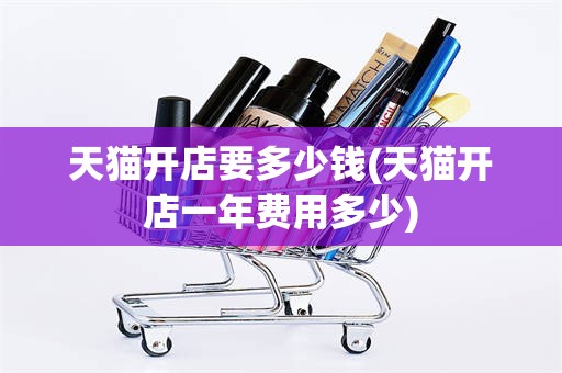 天猫开店要多少钱(天猫开店一年费用多少)