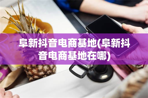 阜新抖音电商基地(阜新抖音电商基地在哪)