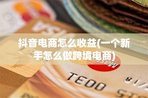 抖音电商怎么收益(一个新手怎么做跨境电商)
